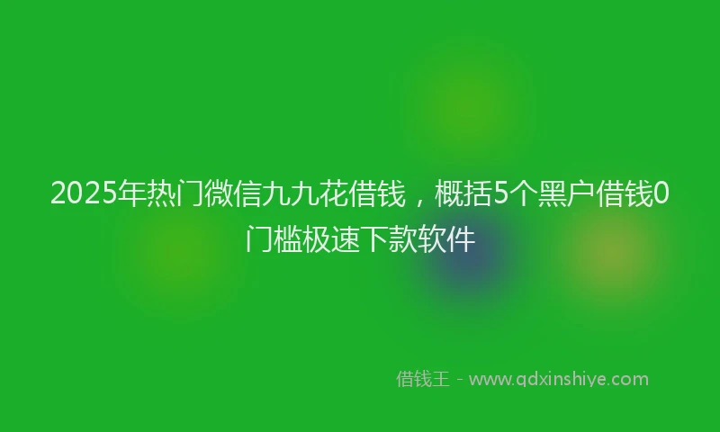 2025年热门微信九九花借钱，概括5个黑户借钱0门槛极速下款软件