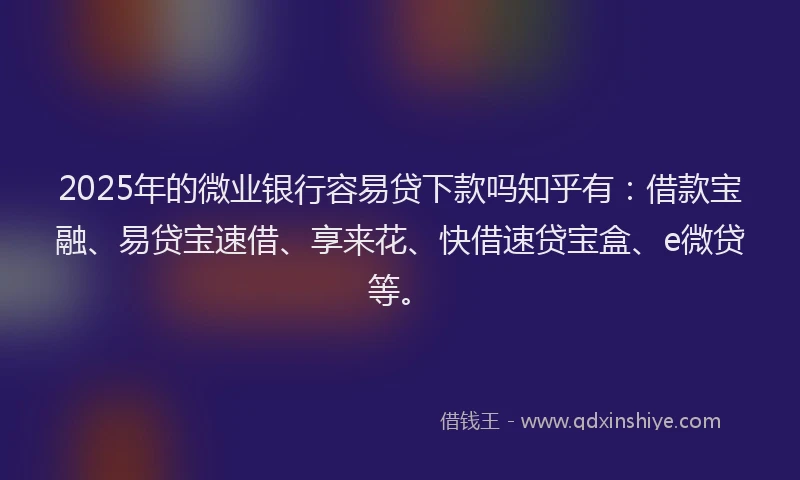 2025年的微业银行容易贷下款吗知乎有：借款宝融、易贷宝速借、享来花、快借速贷宝盒、e微贷等。