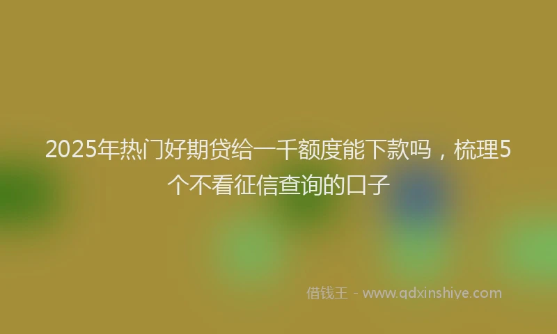 2025年热门好期贷给一千额度能下款吗，梳理5个不看征信查询的口子