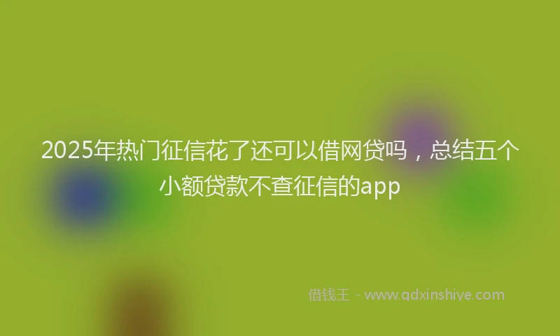 2025年热门征信花了还可以借网贷吗，总结五个小额贷款不查征信的app