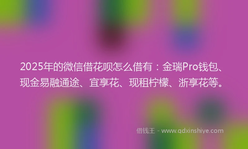 2025年的微信借花呗怎么借有：金瑞Pro钱包、现金易融通途、宜享花、现租柠檬、浙享花等。