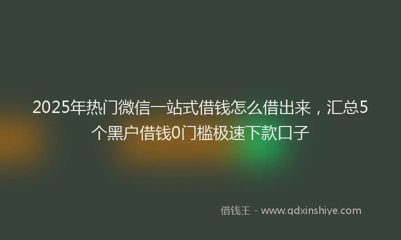 2025年热门微信一站式借钱怎么借出来，汇总5个黑户借钱0门槛极速下款口子