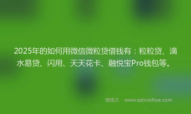 2025年的如何用微信微粒贷借钱有：粒粒贷、滴水易贷、闪用、天天花卡、融悦宝Pro钱包等。