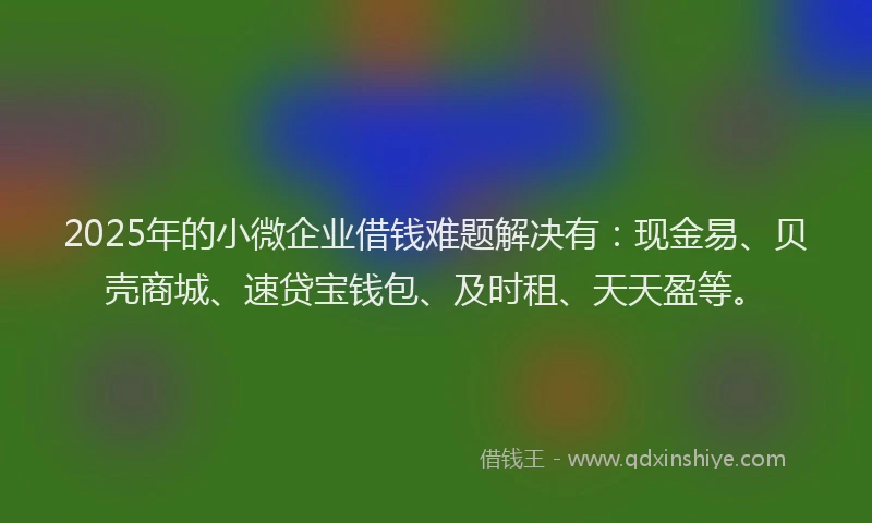 2025年的小微企业借钱难题解决有：现金易、贝壳商城、速贷宝钱包、及时租、天天盈等。