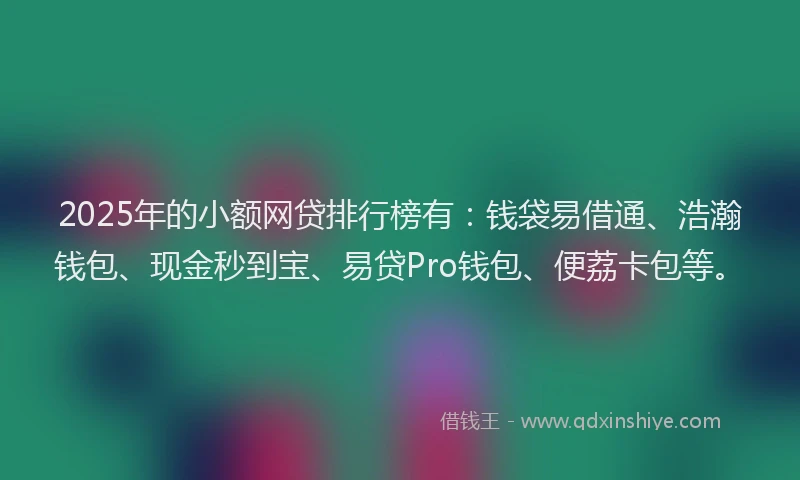 2025年的小额网贷排行榜有：钱袋易借通、浩瀚钱包、现金秒到宝、易贷Pro钱包、便荔卡包等。