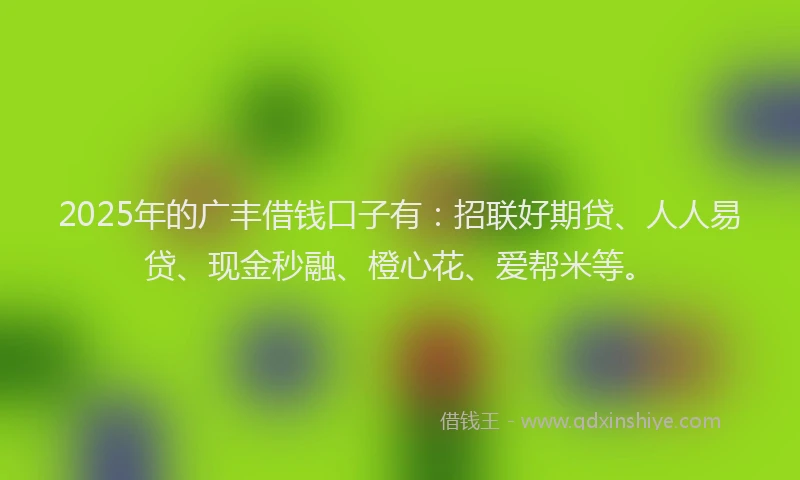 2025年的广丰借钱口子有：招联好期贷、人人易贷、现金秒融、橙心花、爱帮米等。