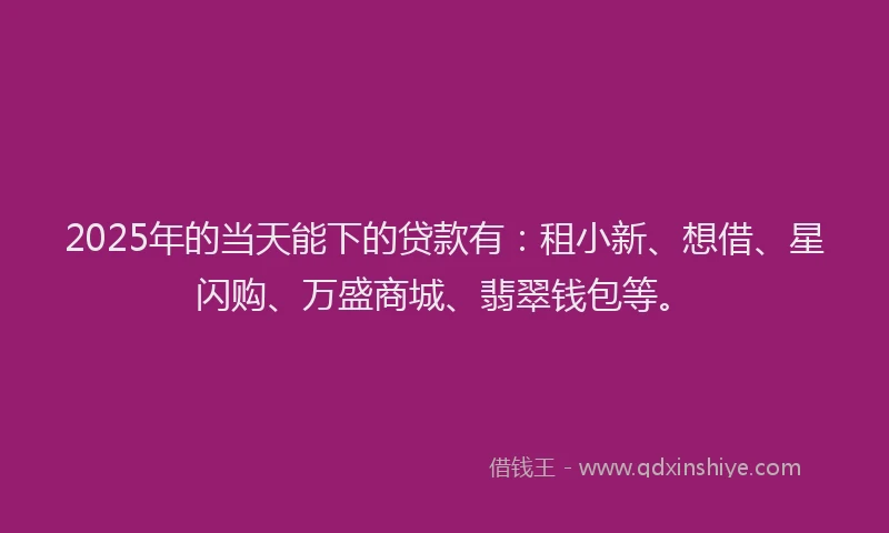 2025年的当天能下的贷款有：租小新、想借、星闪购、万盛商城、翡翠钱包等。