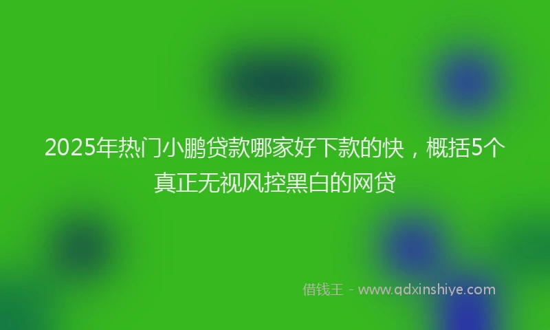 2025年热门小鹏贷款哪家好下款的快，概括5个真正无视风控黑白的网贷
