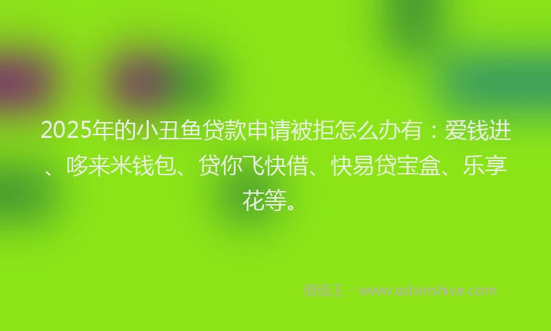 2025年的小丑鱼贷款申请被拒怎么办有：爱钱进、哆来米钱包、贷你飞快借、快易贷宝盒、乐享花等。