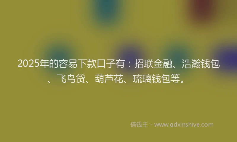2025年的容易下款口子有：招联金融、浩瀚钱包、飞鸟贷、葫芦花、琉璃钱包等。