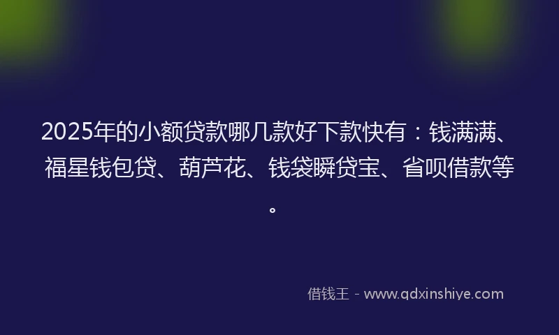 2025年的小额贷款哪几款好下款快有：钱满满、福星钱包贷、葫芦花、钱袋瞬贷宝、省呗借款等。
