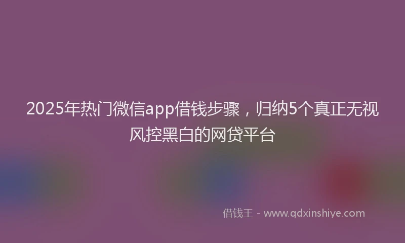 2025年热门微信app借钱步骤，归纳5个真正无视风控黑白的网贷平台