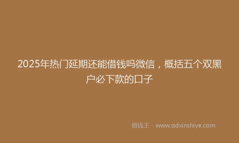 2025年热门延期还能借钱吗微信，概括五个双黑户必下款的口子