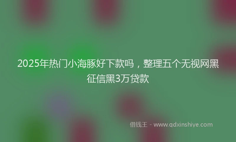 2025年热门小海豚好下款吗，整理五个无视网黑征信黑3万贷款