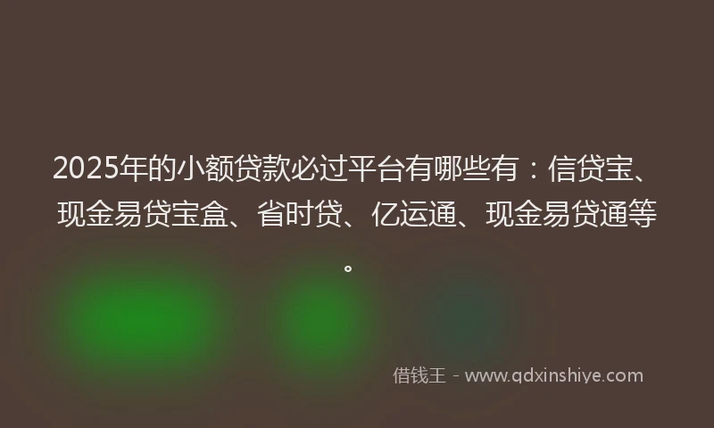 2025年的小额贷款必过平台有哪些有：信贷宝、现金易贷宝盒、省时贷、亿运通、现金易贷通等。