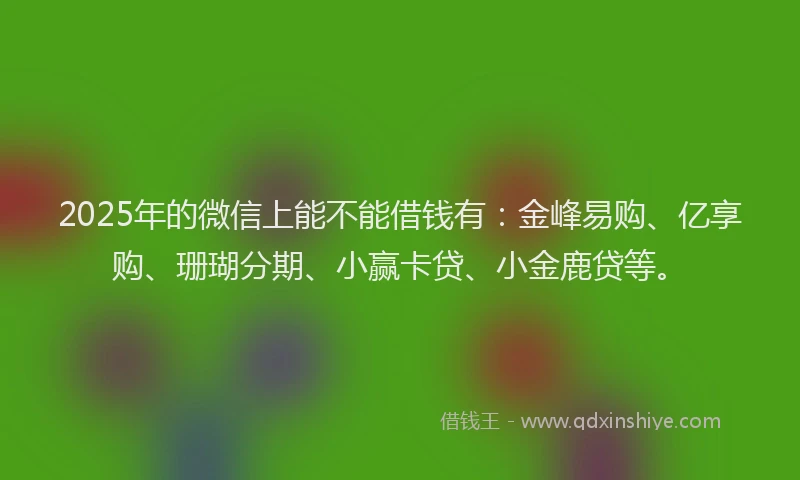 2025年的微信上能不能借钱有：金峰易购、亿享购、珊瑚分期、小赢卡贷、小金鹿贷等。