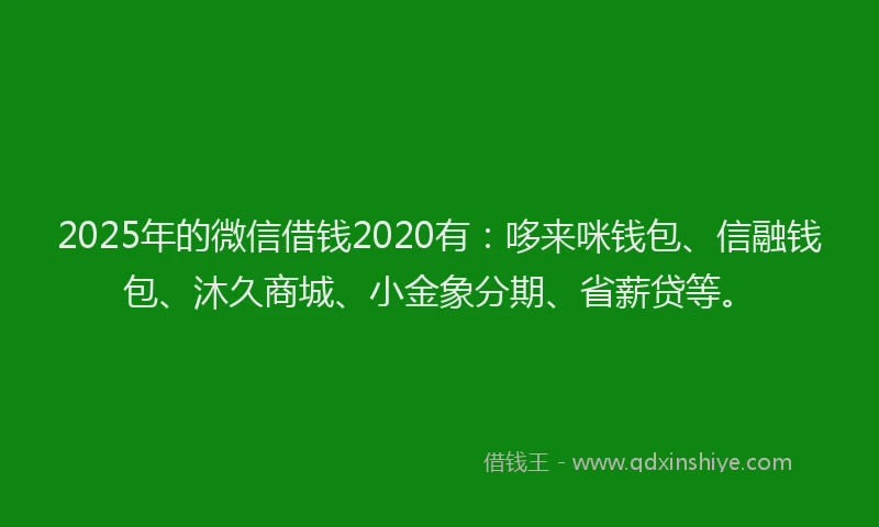 2025年的微信借钱2020有：哆来咪钱包、信融钱包、沐久商城、小金象分期、省薪贷等。