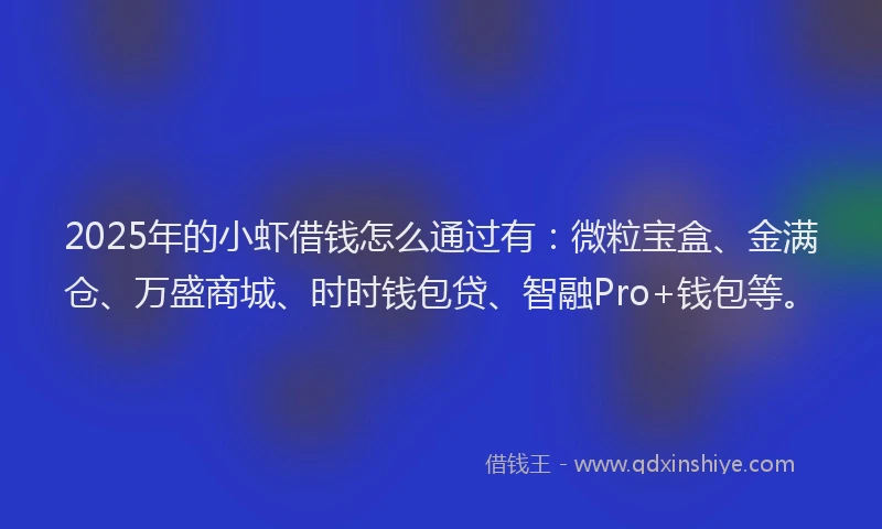 2025年的小虾借钱怎么通过有：微粒宝盒、金满仓、万盛商城、时时钱包贷、智融Pro+钱包等。