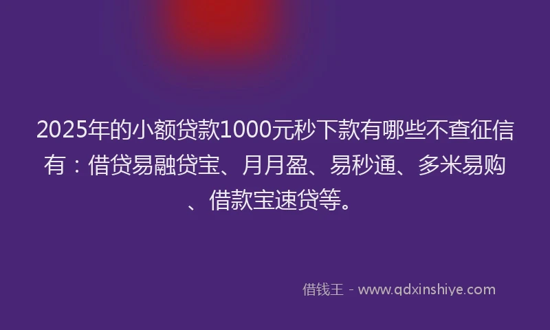 2025年的小额贷款1000元秒下款有哪些不查征信有：借贷易融贷宝、月月盈、易秒通、多米易购、借款宝速贷等。