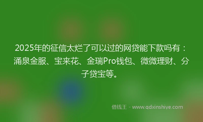 2025年的征信太烂了可以过的网贷能下款吗有：涌泉金服、宝来花、金瑞Pro钱包、微微理财、分子贷宝等。
