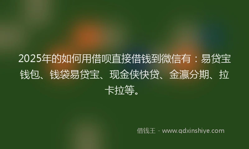 2025年的如何用借呗直接借钱到微信有：易贷宝钱包、钱袋易贷宝、现金侠快贷、金瀛分期、拉卡拉等。