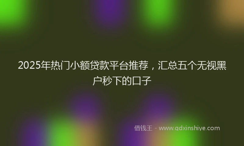 2025年热门小额贷款平台推荐，汇总五个无视黑户秒下的口子