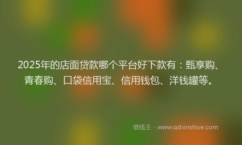 2025年的店面贷款哪个平台好下款有：甄享购、青春购、口袋信用宝、信用钱包、洋钱罐等。