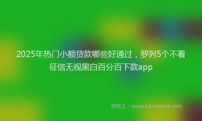 2025年热门小额贷款哪些好通过，罗列5个不看征信无视黑白百分百下款app