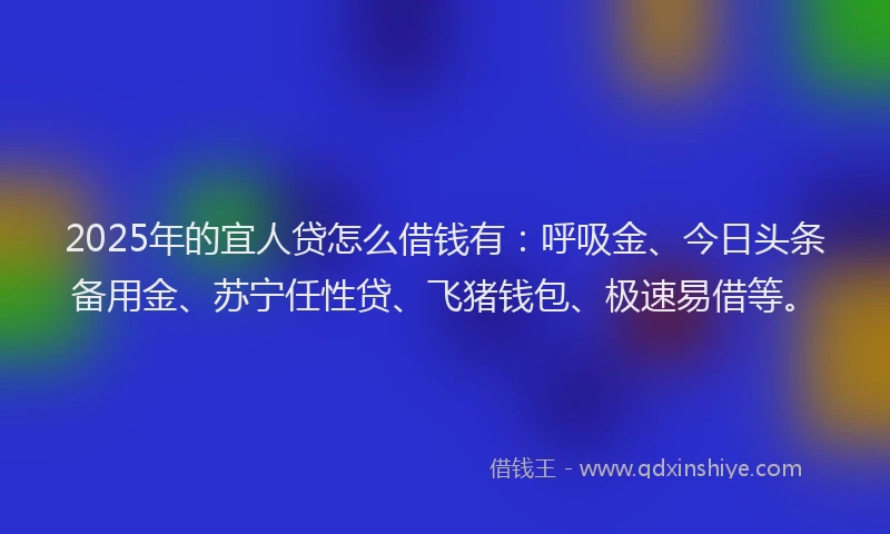 2025年的宜人贷怎么借钱有：呼吸金、今日头条备用金、苏宁任性贷、飞猪钱包、极速易借等。