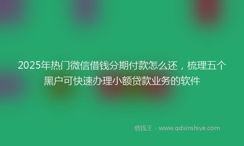 2025年热门微信借钱分期付款怎么还，梳理五个黑户可快速办理小额贷款业务的软件