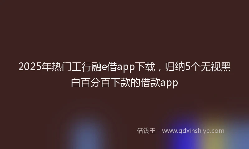 2025年热门工行融e借app下载，归纳5个无视黑白百分百下款的借款app