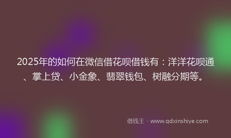 2025年的如何在微信借花呗借钱有：洋洋花呗通、掌上贷、小金象、翡翠钱包、树融分期等。