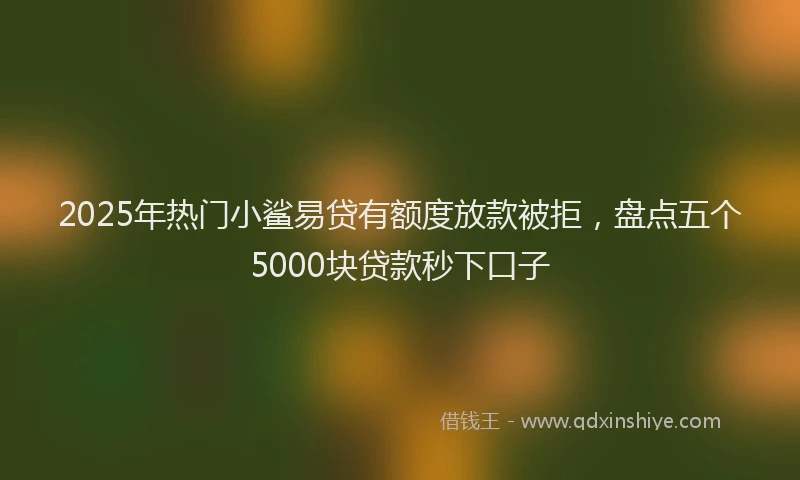 2025年热门小鲨易贷有额度放款被拒，盘点五个5000块贷款秒下口子