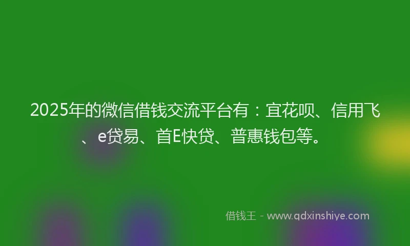 2025年的微信借钱交流平台有：宜花呗、信用飞、e贷易、首E快贷、普惠钱包等。