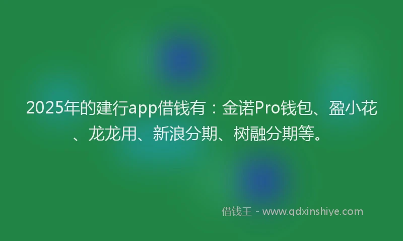 2025年的建行app借钱有：金诺Pro钱包、盈小花、龙龙用、新浪分期、树融分期等。