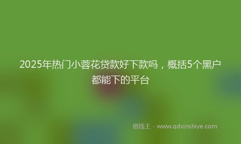 2025年热门小蓉花贷款好下款吗，概括5个黑户都能下的平台
