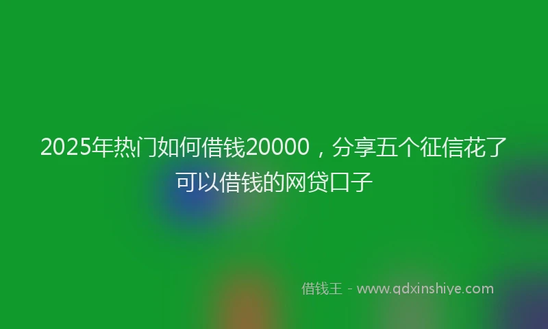 2025年热门如何借钱20000，分享五个征信花了可以借钱的网贷口子