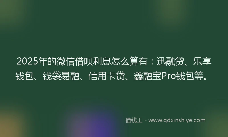 2025年的微信借呗利息怎么算有：迅融贷、乐享钱包、钱袋易融、信用卡贷、鑫融宝Pro钱包等。