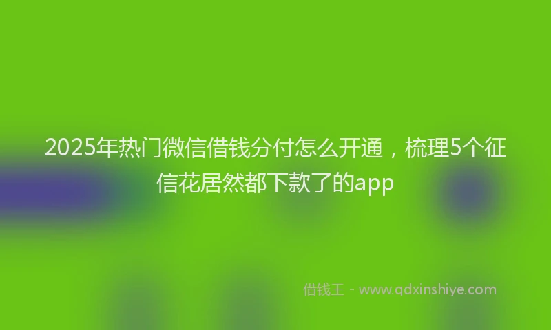 2025年热门微信借钱分付怎么开通，梳理5个征信花居然都下款了的app