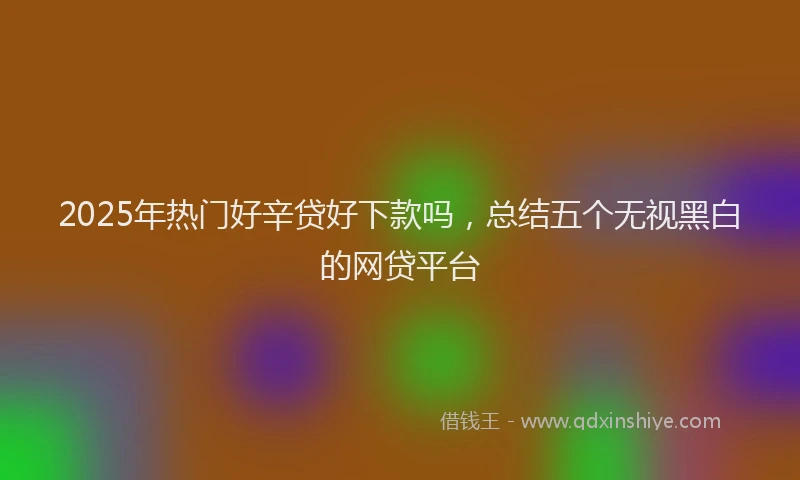 2025年热门好辛贷好下款吗，总结五个无视黑白的网贷平台
