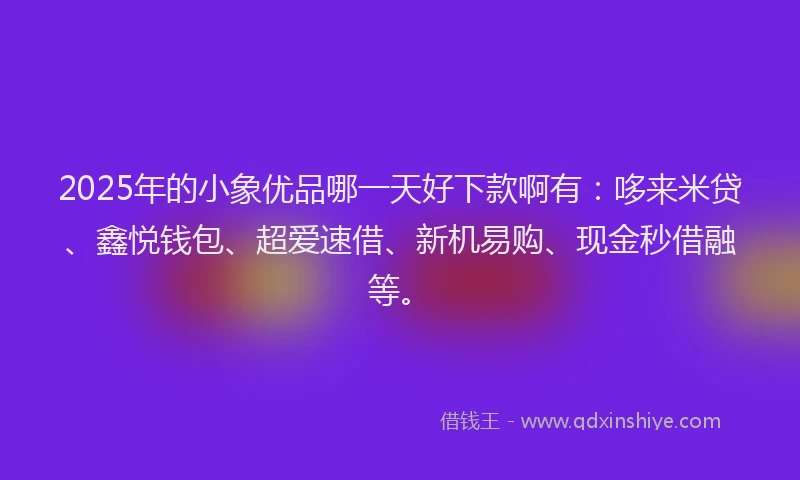 2025年的小象优品哪一天好下款啊有：哆来米贷、鑫悦钱包、超爱速借、新机易购、现金秒借融等。