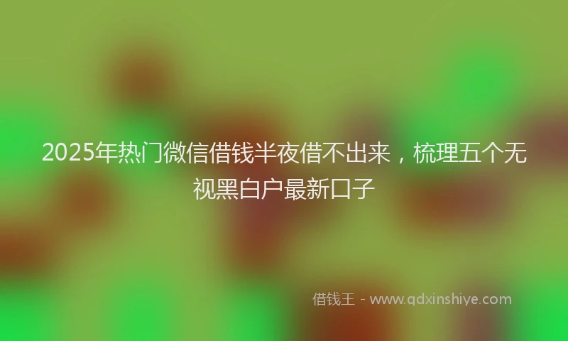 2025年热门微信借钱半夜借不出来，梳理五个无视黑白户最新口子