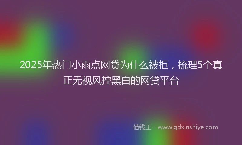 2025年热门小雨点网贷为什么被拒，梳理5个真正无视风控黑白的网贷平台