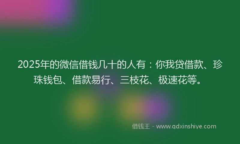 2025年的微信借钱几十的人有：你我贷借款、珍珠钱包、借款易行、三枝花、极速花等。