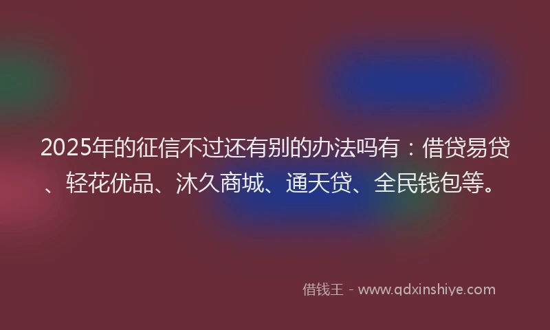 2025年的征信不过还有别的办法吗有：借贷易贷、轻花优品、沐久商城、通天贷、全民钱包等。