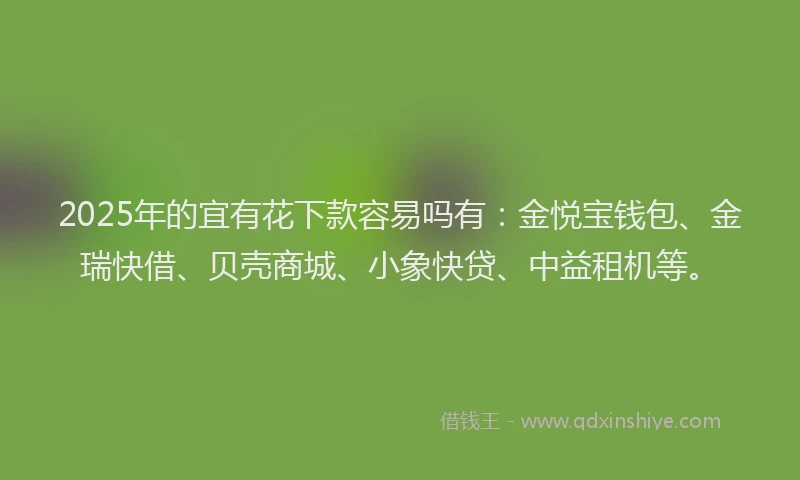 2025年的宜有花下款容易吗有:金悦宝钱包、金瑞快借、贝壳商城、小象快贷、中益租机等。