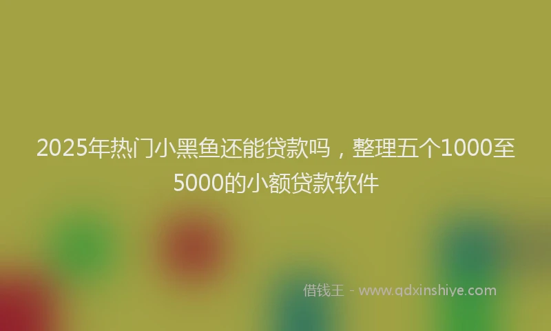 2025年热门小黑鱼还能贷款吗，整理五个1000至5000的小额贷款软件