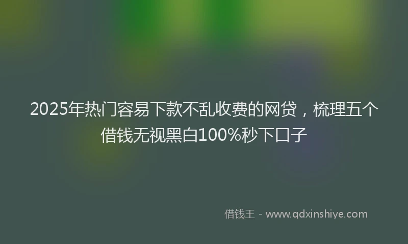 2025年热门容易下款不乱收费的网贷，梳理五个借钱无视黑白100%秒下口子