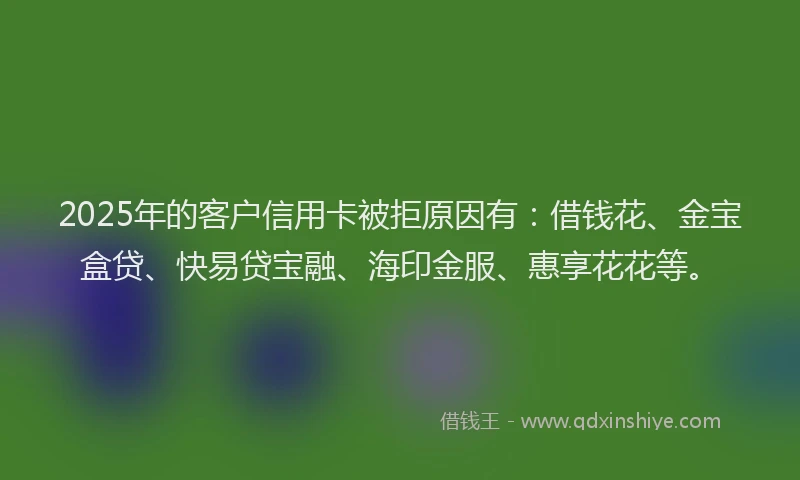 2025年的客户信用卡被拒原因有：借钱花、金宝盒贷、快易贷宝融、海印金服、惠享花花等。