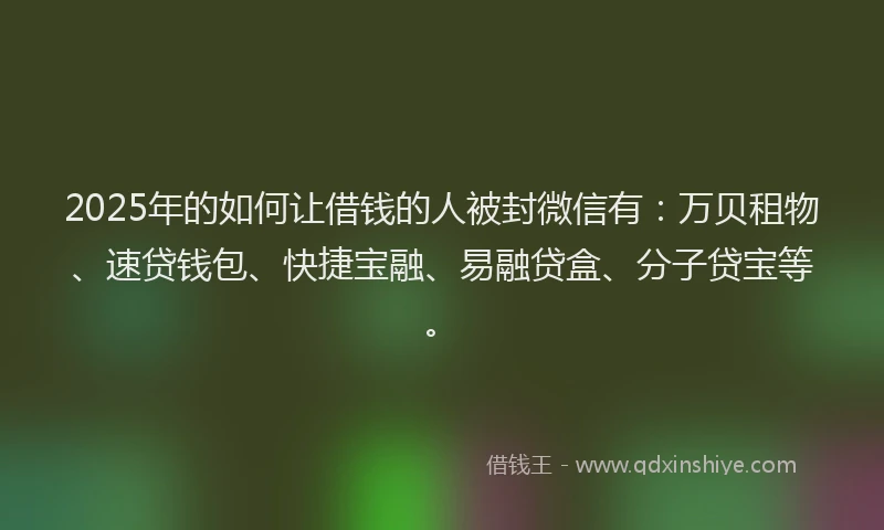 2025年的如何让借钱的人被封微信有：万贝租物、速贷钱包、快捷宝融、易融贷盒、分子贷宝等。